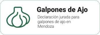 Galpones de Ajo